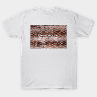 Exposed Brick isn't even that cool T-Shirt